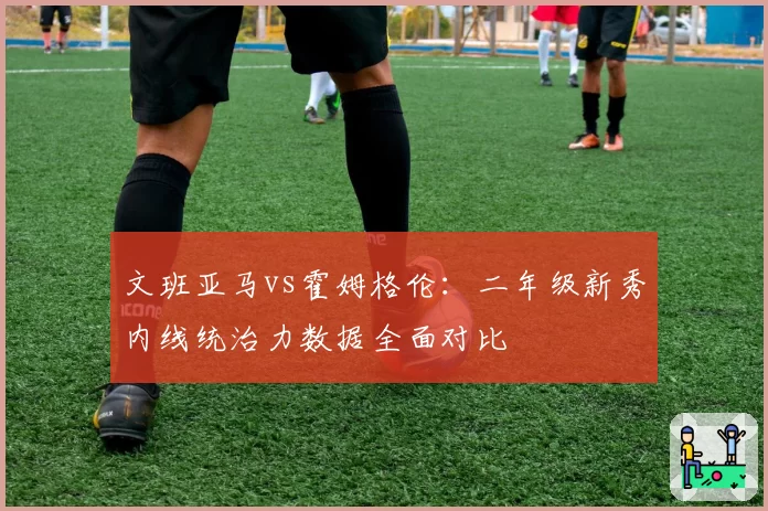 文班亚马vs霍姆格伦：二年级新秀内线统治力数据全面对比