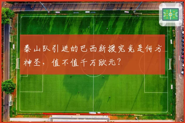 泰山队引进的巴西新援究竟是何方神圣,值不值千万欧元?