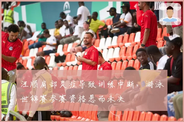 汪顺肩部炎症导致训练中断,游泳世锦赛参赛资格悬而未决