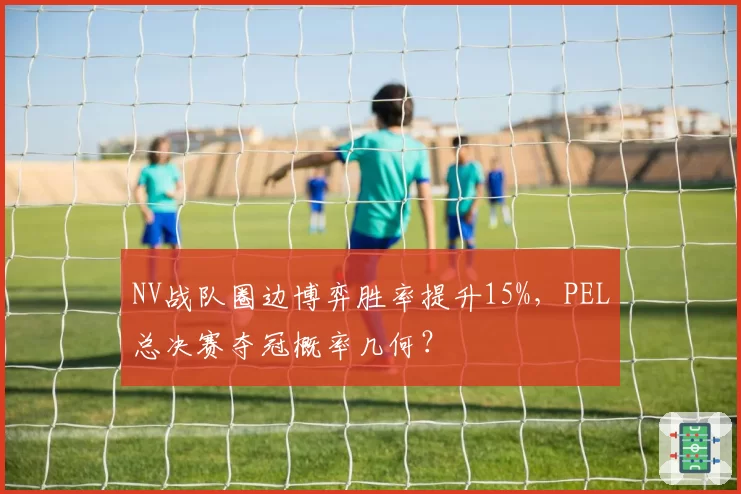NV战队圈边博弈胜率提升15%,PEL总决赛夺冠概率几何?