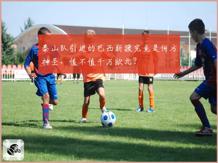 泰山队引进的巴西新援究竟是何方神圣,值不值千万欧元?