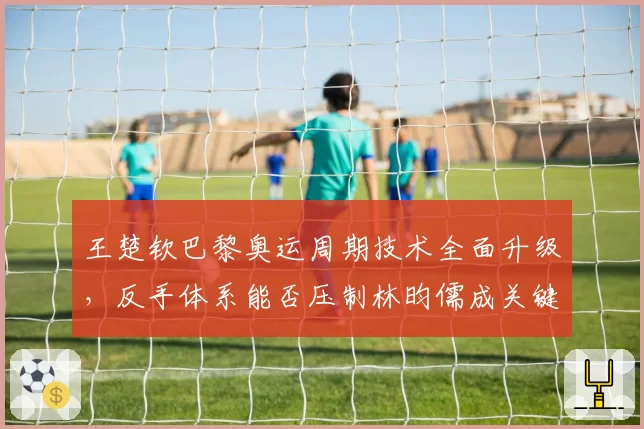 王楚钦巴黎奥运周期技术全面升级，反手体系能否压制林昀儒成关键