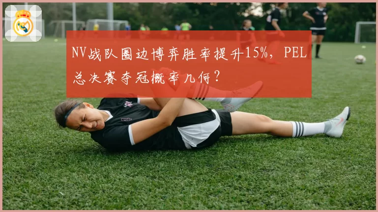NV战队圈边博弈胜率提升15%,PEL总决赛夺冠概率几何?