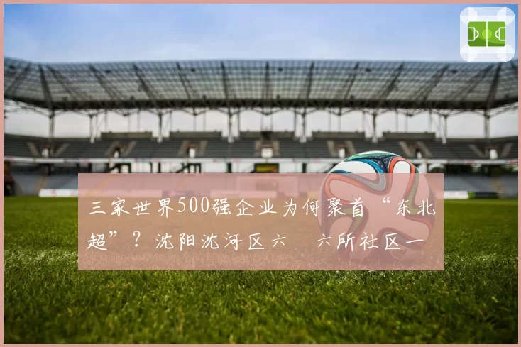 三家世界500强企业为何聚首“东北超”？沈阳沈河区六〇六所社区一小区物业撤离_本地新闻(4.12)