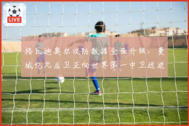 格瓦迪奥尔攻防数据全面升级，曼城亿元后卫正向世界第一中卫迈进